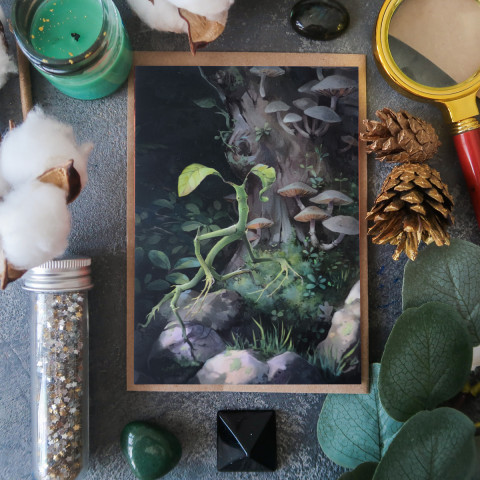 Открытка "Пикетт"