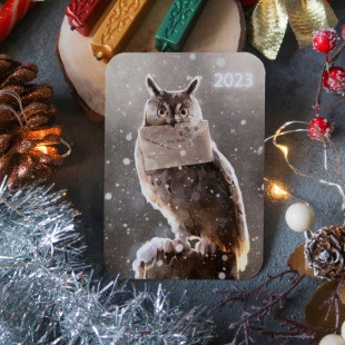 Календарь карманный "Owl Mail"