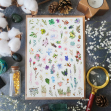 Стикерпак "Botanic Details"